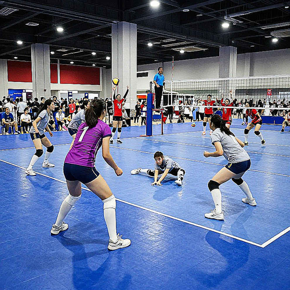 Khi Bóng Chuyền Nữ Kentucky và Louisville Viết Lại Lịch Sử: Phân Tích Chuyên Sâu Trận Đấu Top-5 Đầu Tiên