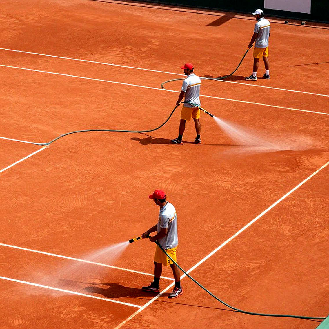 Ben Shelton's Two Davis Cup Losses: Reading the Load Data and the Points Debt Ahead Ben Shelton's Two Davis Cup Losses: Reading the Load Data and the Points Debt Ahead