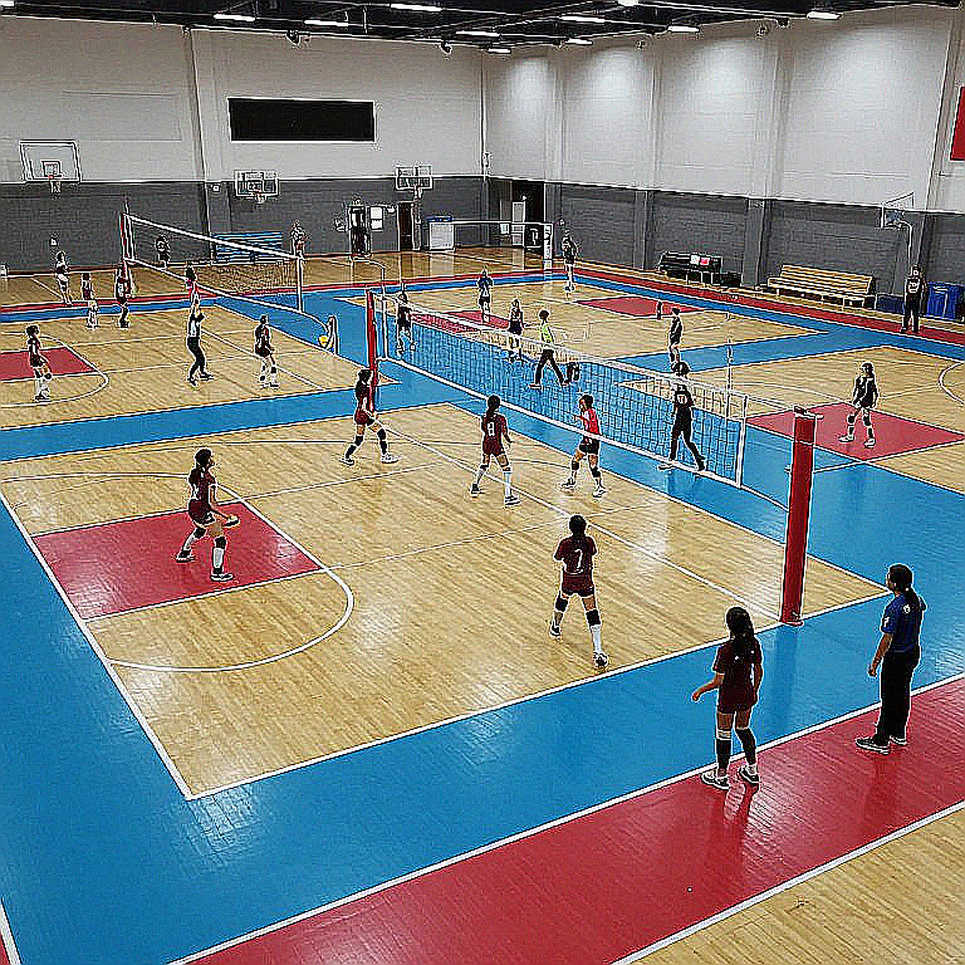 Ba Lan hạ Pháp 3-1 giữ ngôi vô địch bóng chuyền nam châu Âu: Khi tập thể thắng ngôi sao Ba Lan hạ Pháp 3-1 giữ ngôi vô địch bóng chuyền nam châu Âu: Khi tập thể thắng ngôi sao