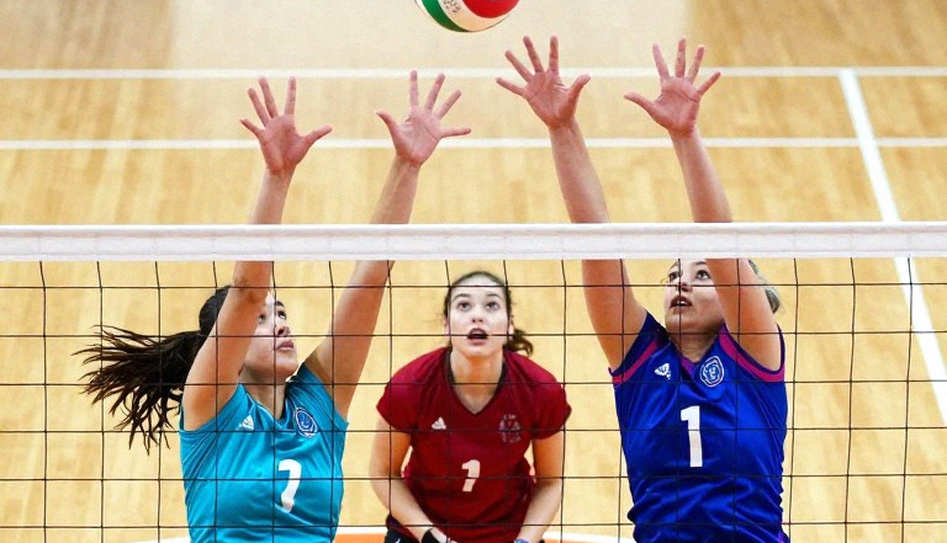 Thổ Nhĩ Kỳ thẳng tiến chung kết EuroVolley 2026: Chiến thắng 3-0 trước Serbia và tấm vé Olympic 2028