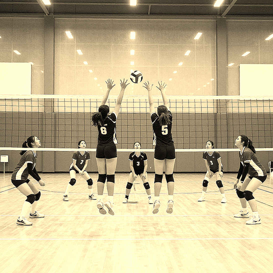 Thổ Nhĩ Kỳ thẳng tiến chung kết EuroVolley 2026: Chiến thắng 3-0 trước Serbia và tấm vé Olympic 2028