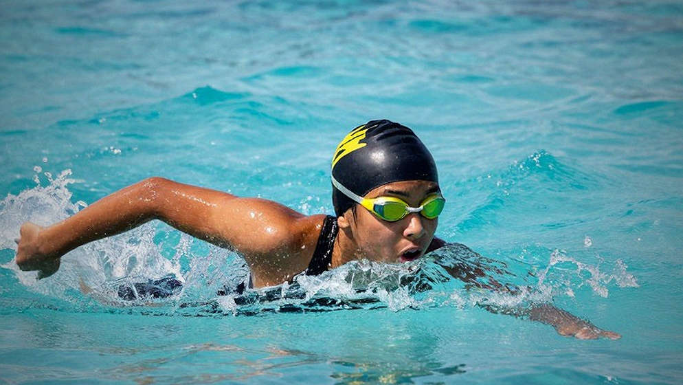 Sharks Swim Club và bài toán 250 vận động viên: Khi quy mô không tự động sinh ra thứ hạng Sharks Swim Club và bài toán 250 vận động viên: Khi quy mô không tự động sinh ra thứ hạng